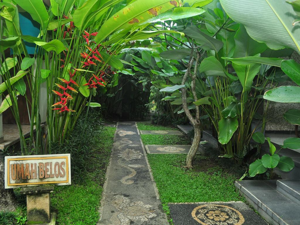 Umah Belos Ubud  Ngoại thất bức ảnh